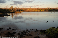 Galapagos-Natur20.jpg